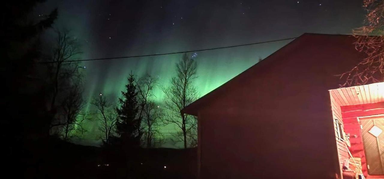 Cosy Cabin In North-Norway, Nearby Senja. Sorreisa Exterior photo
