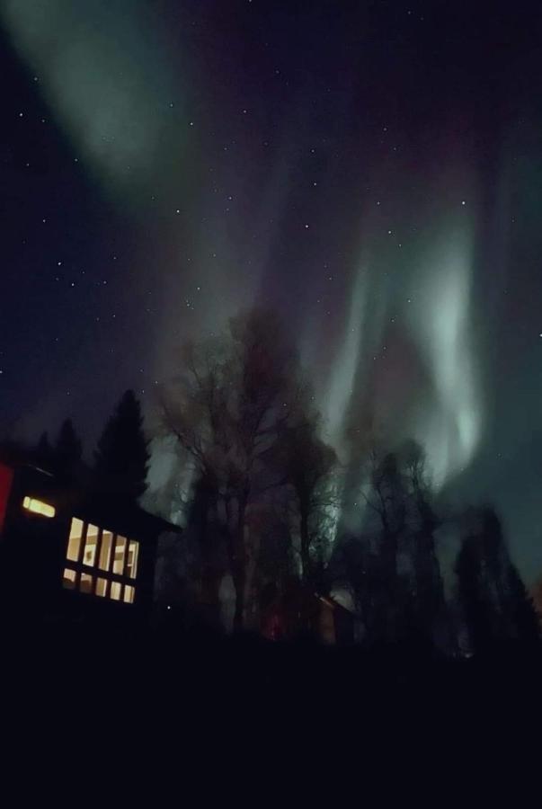 Cosy Cabin In North-Norway, Nearby Senja. Sorreisa Exterior photo